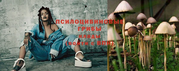 прущая мука Осинники